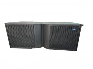 Line array P212